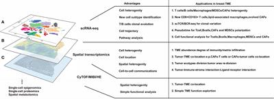 Mapping Breast Cancer Microenvironment Through Single-Cell Omics